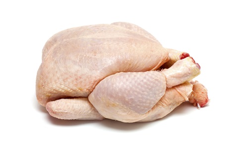 pollo